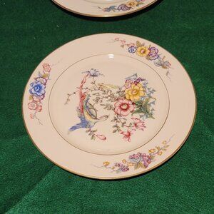 Rosen thale Phoenix dinner plate